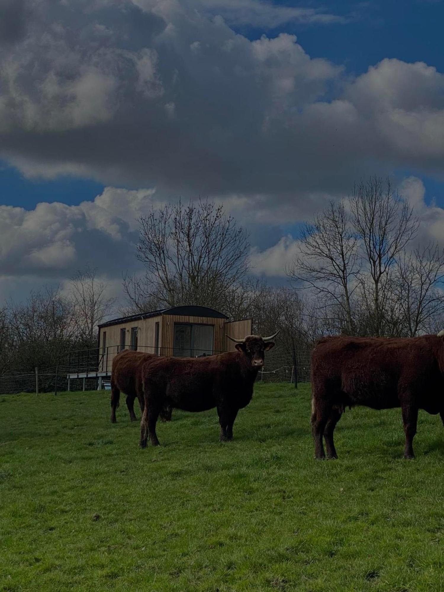 Hamois Au P'Tit Pre Des Salers旅馆 外观 照片